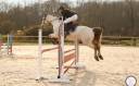 Ruin Franse rijpony PFS Te koop 2020 Schimmel
