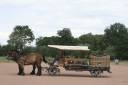 Rijtuigen - Cal&egrave;che - Ander merk - CAMPAGNE 160 HANDY 