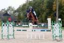 Merrie Franse rijpony PFS Te leen 2009 Donker bruin / bai