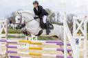 Merrie New Forest Te koop 2012 Wit