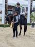 Dekhengst Franse rijpony PFS Te koop 2019 Bruin / Bai