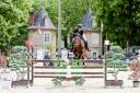Dekhengst Franse rijpony PFS Te koop 2019 Bruin / Bai ,  RASMUS SL