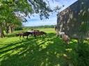 Eigenaren stal Koop Loire-Atlantique