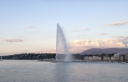 Eigenaren stal Koop Gen&egrave;ve