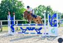 Merrie Franse rijpony PFS Te koop 2020 Vos ,  Very star kerveyer