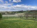 Landbouw bedrijf Koop Lot-et-Garonne