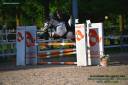 Ruin Franse rijpony PFS Te koop 2008 Bontzwart