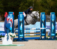 Merrie Franse rijpony PFS Te koop 2022 Schimmel