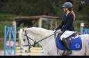 Ruin Javaans paard Te koop 2016 Schimmel