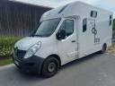 Kleine paardenvrachtwagen (B rijbewijs) Theault pro theault 2020 Tweedehands