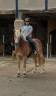 Ruin Haflinger Te koop 2019 Lichte manen en staart