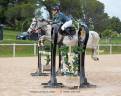 Merrie Franse rijpony PFS Half pension 2012 Schimmel