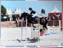 Merrie Franse rijpony PFS Te koop 2020 Donker bruin / bai ,  GOLIATH DES LONDES