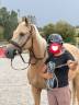 Ruin New Forest Te koop 2022 Palomino
