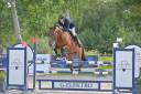 Super brave merrie voor ambitieuze ruiter