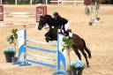 14y gelding by Diamant de Semilly 
