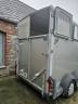 Paardentrailers Ifor Williams HB511 2 Paarden 2019 Tweedehands