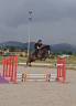 Ruin Franse rijpony PFS Te koop 2017 Donker bruin / bai ,  Lennicha de Florys