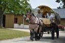 Rijtuigen - Cal&egrave;che - Ander merk -  