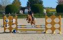 Merrie Franse rijpony PFS Te koop 2021 Vos