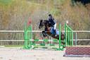 Ruin Franse rijpony PFS Te koop 2021 Zwart ,  Carlisto d'&eacute;t&eacute;