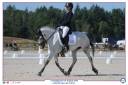 Merrie Connemara Te leen 2014 Schimmel ,  HEROS VAN DE GROENWEG (BEL)