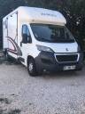 Kleine paardenvrachtwagen (B rijbewijs) Peugeot equitreck 2016 Tweedehands