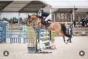 Merrie Duitse rijpony  Te koop 2019 Donker bruin / bai ,  Kantje&rsquo;s Carlando