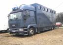 Zware paardenvrachtwagen (groot rijbewijs) Iveco  1997 Tweedehands