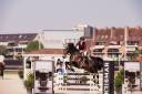 Schoolmaster Figaro 