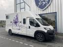 Kleine paardenvrachtwagen (B rijbewijs) Barbot Ducato 2024 Tweedehands