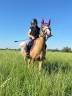 Ruin Welsh Pony (Section B) Te koop 2006 Palomino