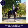 Merrie Volbloed Te koop 2019 Donker bruin / bai