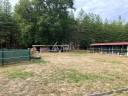 Landbouw bedrijf Koop Loiret