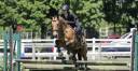 Ruin Bekend ras Te koop 2021 Isabel ,  BE CHAMPION SUPREME D'ETE