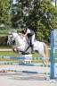 Draagmerrie Welsh Pony (Section B) Te koop 2010 Schimmel
