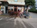 Merrie Breton Trekpaard Te koop 2023 Vos