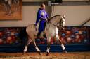 Ruin Lusitano Te koop 2017 Isabel ,  HABLADOR