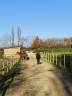 Hippisch vastgoed Koop Dordogne