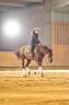 Ruin Quarter Horse Te koop 2019 Vos
