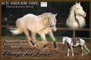 ICE DREAM ONE  - Quarter Horse 2011 ,  MR TUFFEASY SMOKE