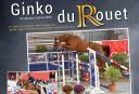 GINKO DU ROUET - Selle Fran&ccedil;ais 2016 ,  VAGABOND DE LA POMME sbs