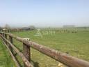 Schapen exploitatie Koop Calvados
