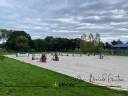Eigenaren stal Koop Ile-et-Vilaine