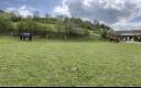 Hippisch vastgoed Koop Yonne