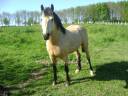 BOUNTY - Ras onbekend 2011