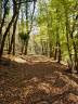 Ander plattelands vastgoed Koop Lot