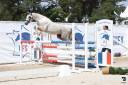 MYSTERY PONDI EDB - Franse rijpony PFS 2022 ,  Pixies Leam Pondi