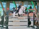 Ruin New Forest Te koop 2014 Schimmel ,  ANYDALE RON