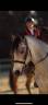 Ruin Franse rijpony PFS Te koop 2017 Isabel ,  Dream on der lenn